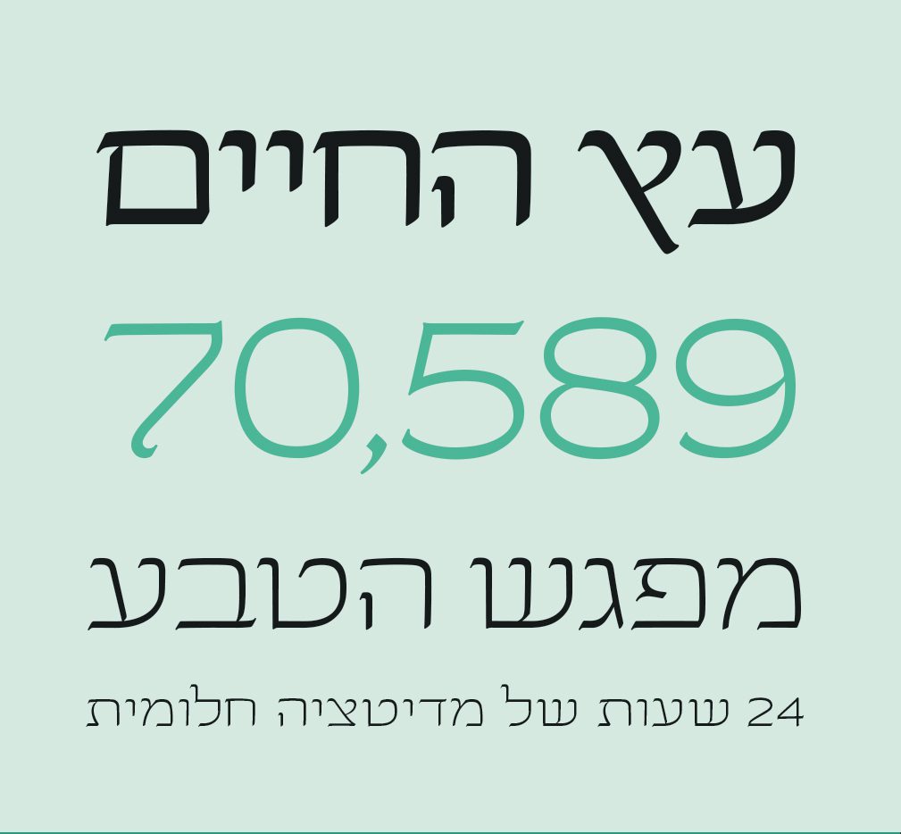 גופן לואיזה - דוגמא (2)